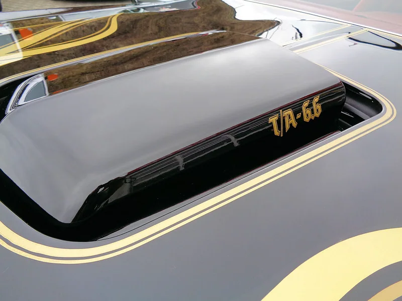 Pontiac Trans Am Detail 1