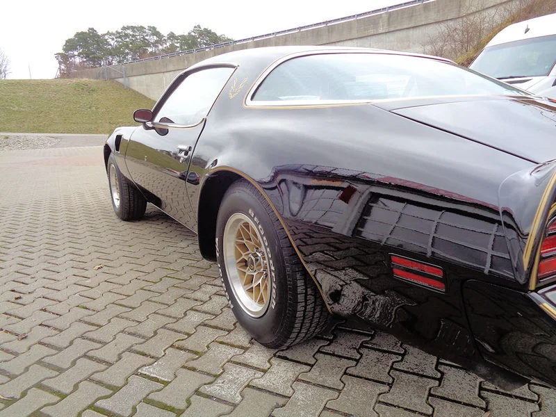 Pontiac Trans Am Detail 2